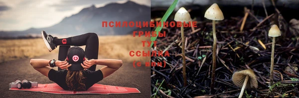 марихуана Беломорск