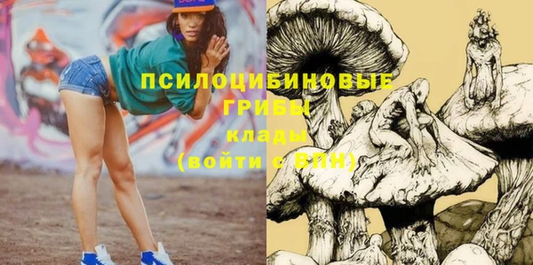 первитин Белокуриха