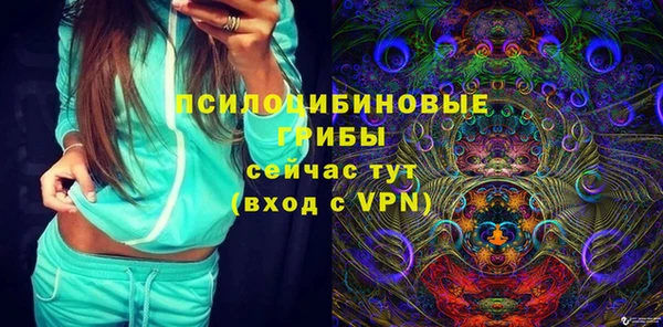первитин Белокуриха