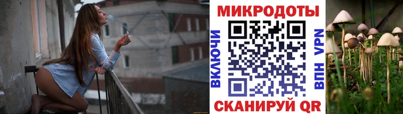 Купить  Шатура  Псилоцибиновые грибы Psilocybe 